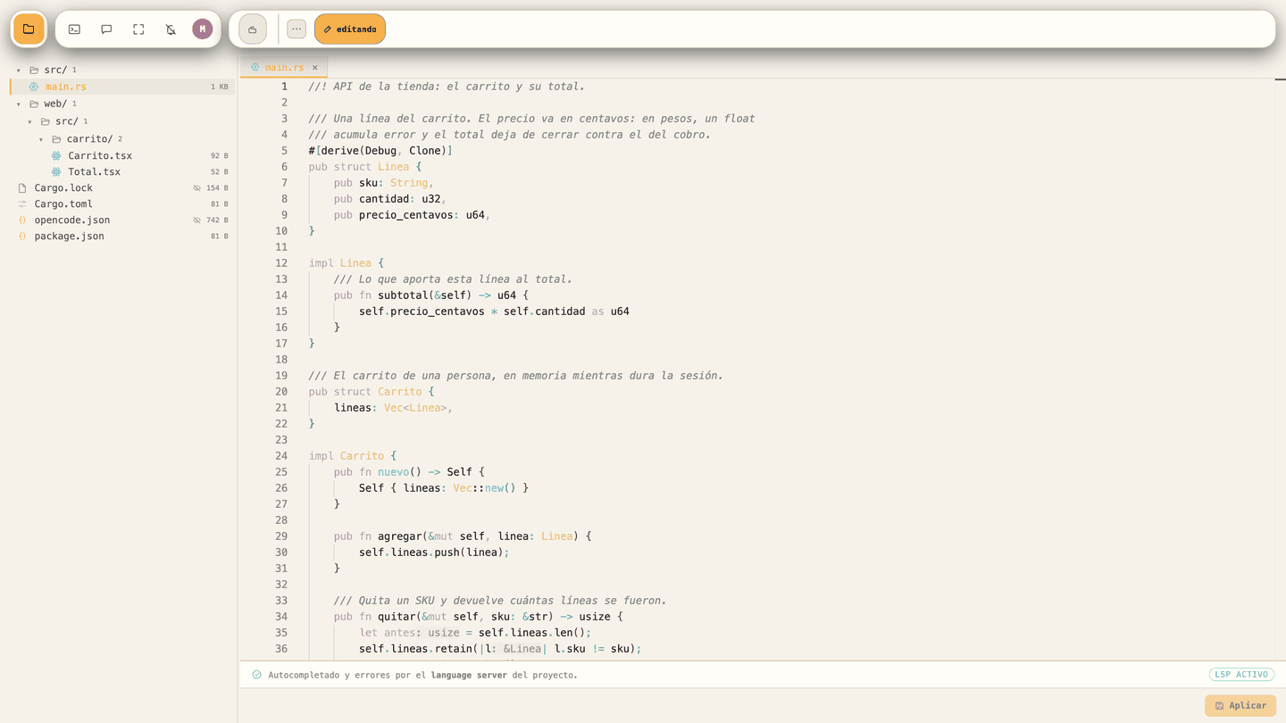The built-in editor with a Rust file open and the language server active.